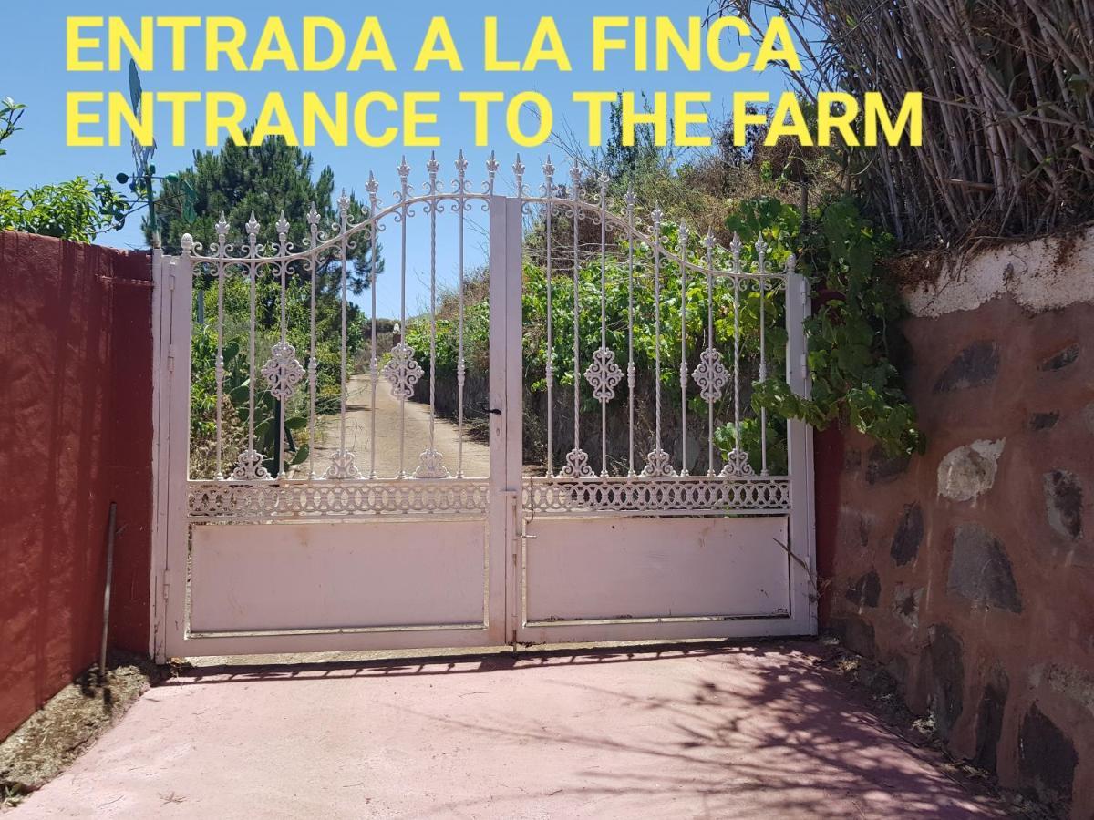 Finca Rural Torres Casas 1 Y 4 Bed & Breakfast Vega de San Mateo Exterior photo