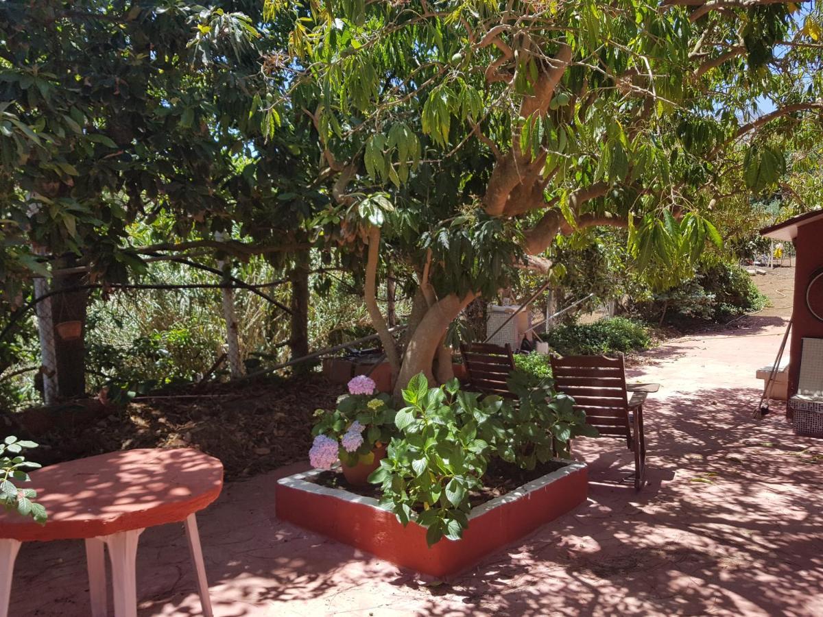 Finca Rural Torres Casas 1 Y 4 Bed & Breakfast Vega de San Mateo Room photo